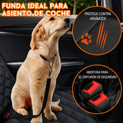 Funda impermeable para perros vexajl