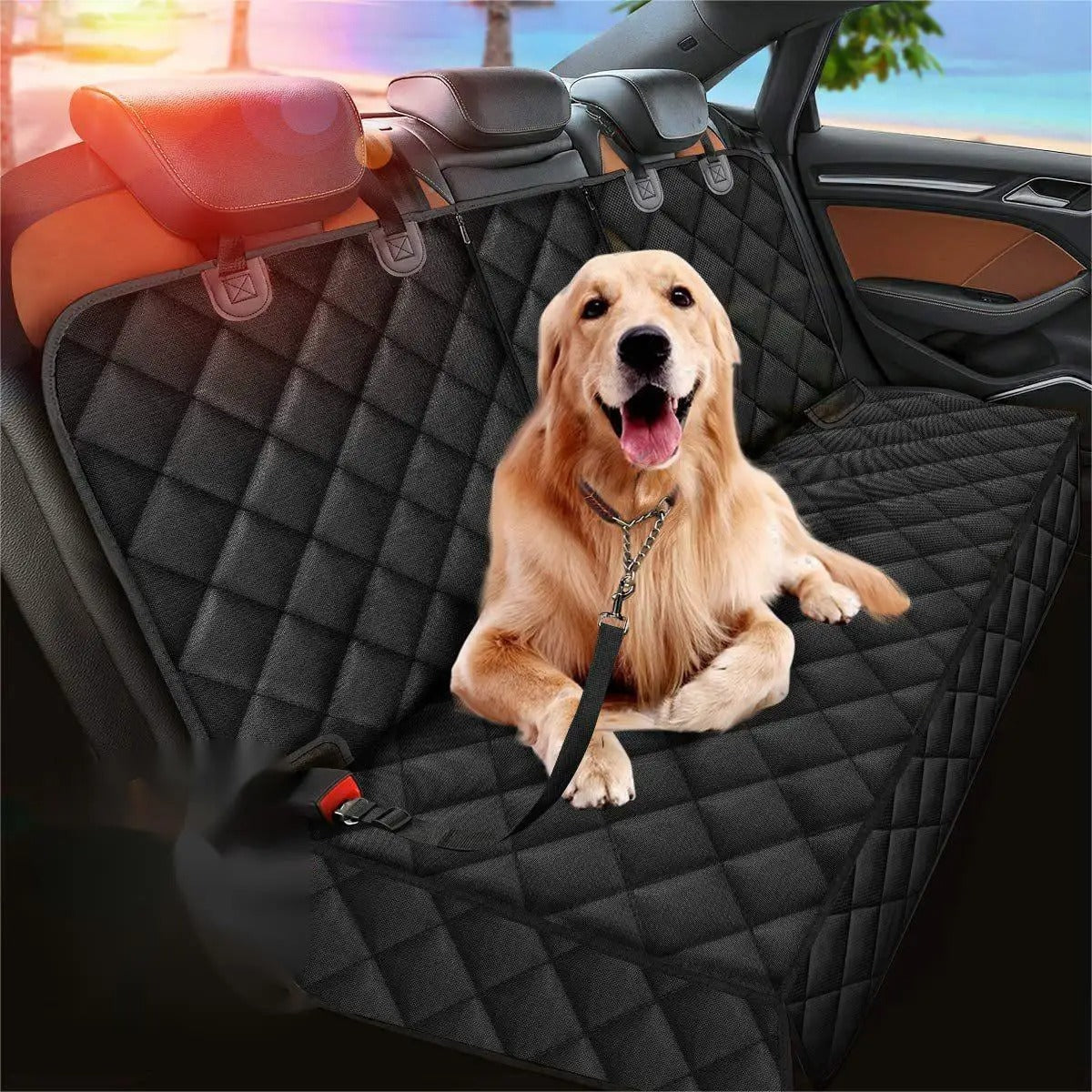 Funda impermeable para perros vexajl